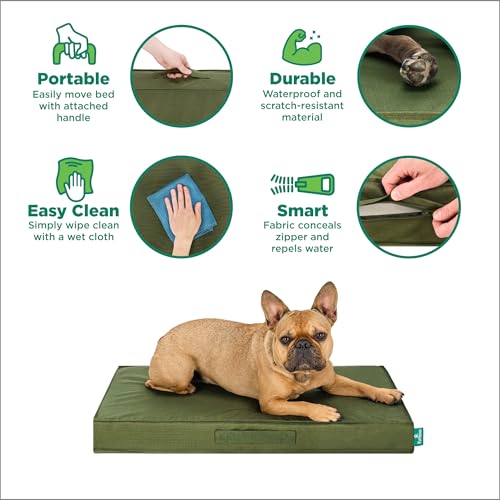 Cooling Dog Bed (Jumbo Plus / Green)