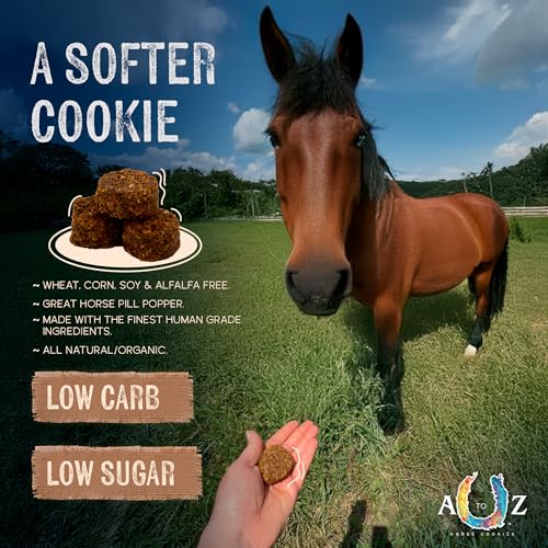 Horse Treats Original Flavor