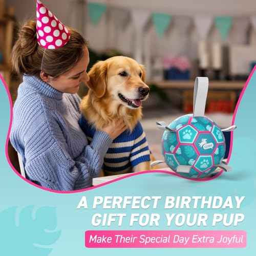 Dog Toys Soccer Ball with Straps (Lake Blue / Medium Size 2 (6 Inch))