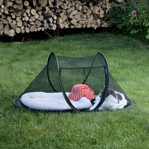 Cat Tent Outdoor (Orange)