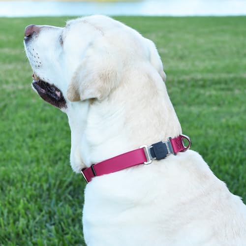 Biothane Waterproof Dog Collar with Herm Sprenger Stainless Steel Quick Release Buckle (W 3/4" x L 12"-19" / Magenta Pink)