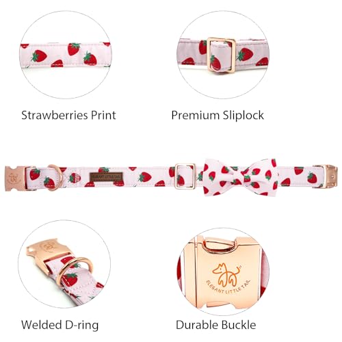 Summer Dog Collar (Strawberry / Medium (Pack of 1))