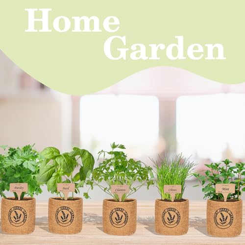 Herb Indoor Garden Kit (Basil, Parsley, Chives, Cilantro, Mint)