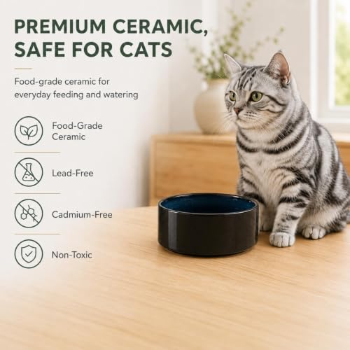 Cat Bowls Set of Two (Starry Sky)