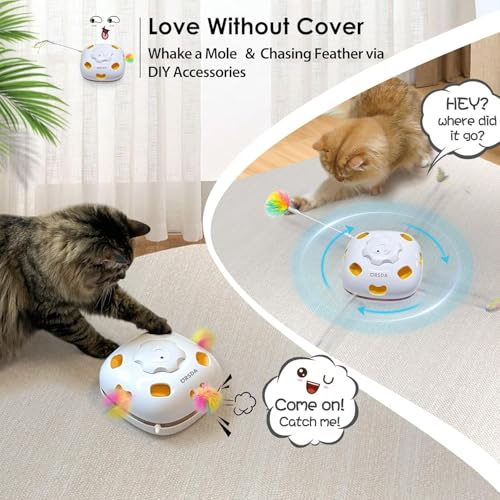 Cat Toys for Indoor Cats