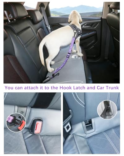 Dog Seat Belt for Car (Set Black+Purple)
