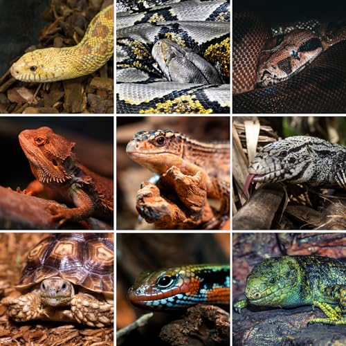68 Gallon PVC Reptile Terrariums (48x18x18")