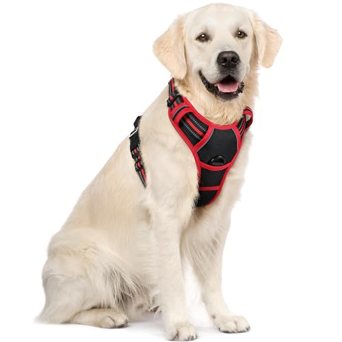 Dog Harness No Pull for Large Dogs with 2 Leash Clips (X-Large / Black & Red)