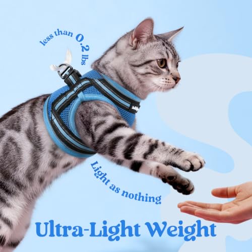 Cat Harness and Leash Set (S / Blue & Light Blue)