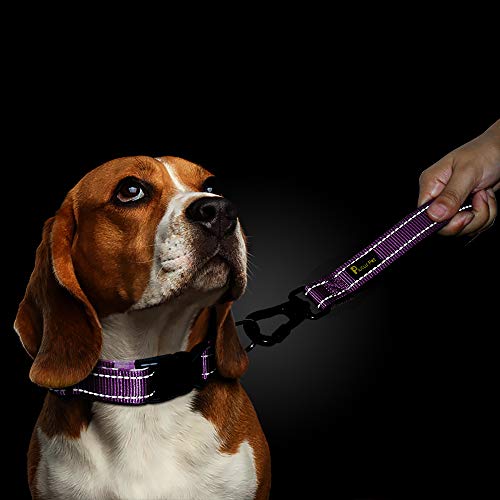 10” Short Dog Leash (Purple / 10 Inch (Pack of 1))