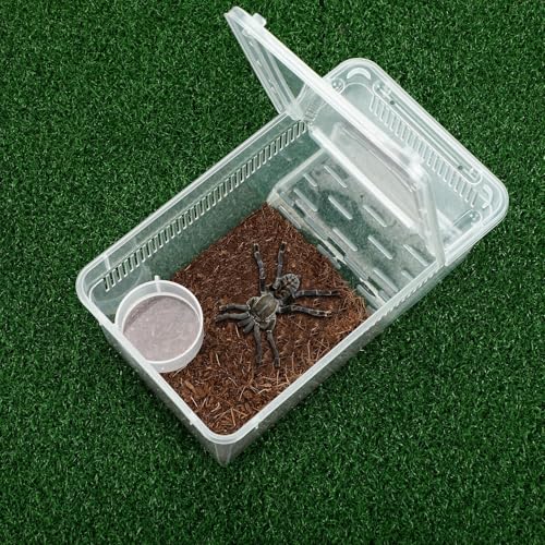 8 Pcs Reptile Breeding Box (Vent Strips / Clear / 8.6 x 5.1 x 3.1 Inch)