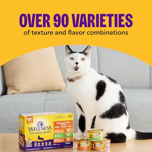 Complete Health Morsels Adult Canned Wet Cat Food (5.5 Ounce (Pack of 24))