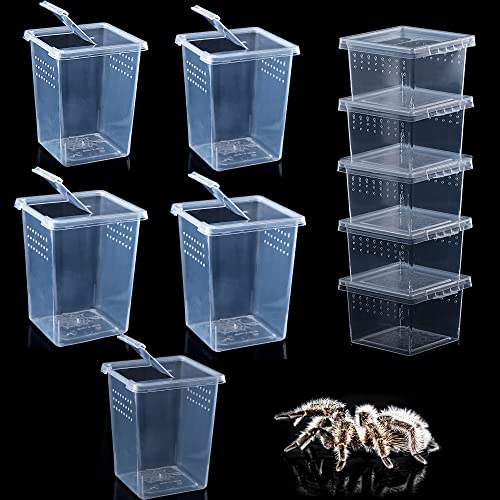 10 Pack Spider Terrariums Breeding Box Small Reptile Hatching Container Acrylic Feeding Box for Arboreal Spider Tarantula Mantis Scorpion Centipede Insect