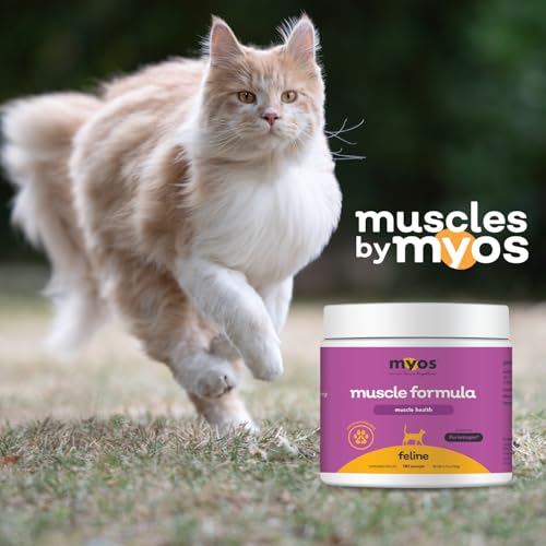 Cat Nutritional Supplement
