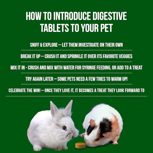 Digestive Support
