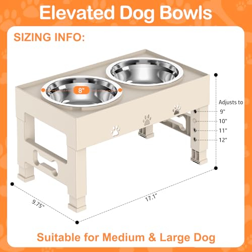 Elevated Dog Bowls with 2 Stainless Steel Bowls (For Medium Large Dogs / Apricot)