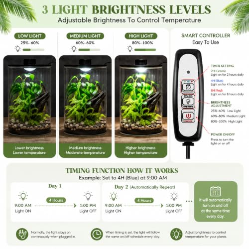 Glass Terrarium Kit with LED Grow Light for Desktop (9.8 x 5.9 Inch)