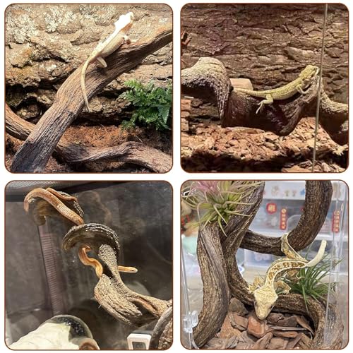 3PCS Natural Reptile Climbing Branches Decor (3PCS|M:1.25-1.75"T,13"H)