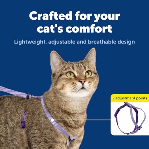 Come With Me Kitty Harness and Bungee Leash (Large (Pack of 1) / Lilac/Deep Purple)