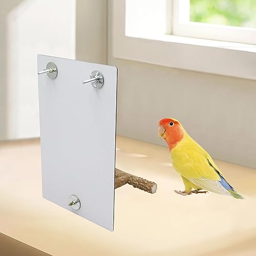 Large Bird Mirror Toy with Perch Stand (11.8 × 7.9 Inch)
