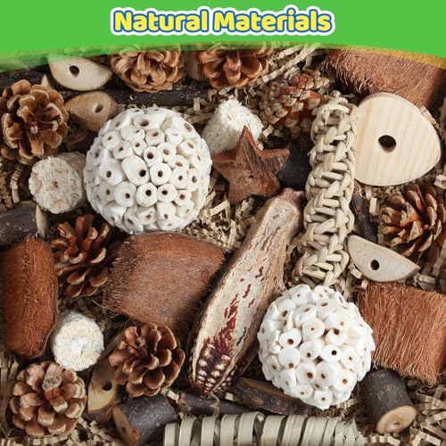 Bird Toys Parrot Natural Bird Foraging Box Foot Toys for Parakeets (Large)