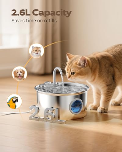 Cat Water Fountain Stainless Steel