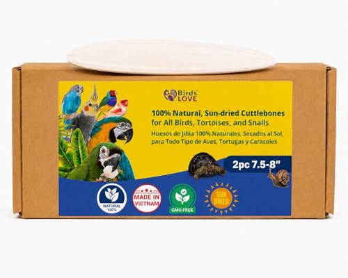 7.5 8" Cuttlebone for Birds