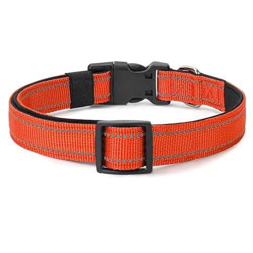 Reflective Dog Collar (Tangerine / S:width 5/8"neck 10.5-16")