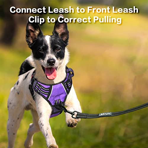 No Pull Dog Harness with 3 Leash Clips and Vertical Handle (Extra Large / Purple)