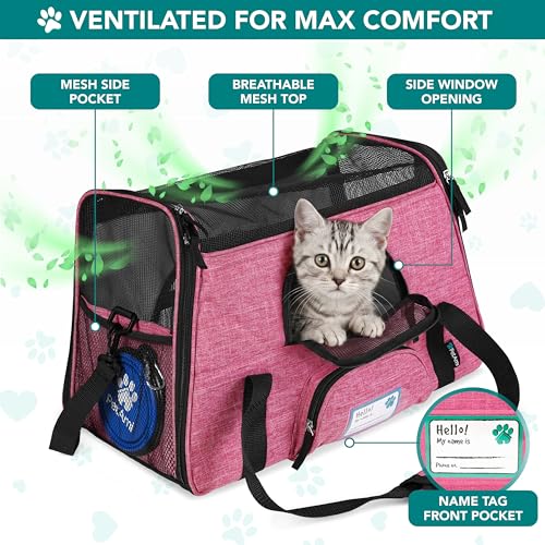 Airline Approved Pet Carrier for Cats Small Dogs (Heather Pink / 19.5"L x 10.2"W x 12.0"H)