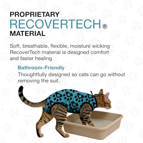 Cat Recovery Suit Female and Male (Blue / XSmall+)