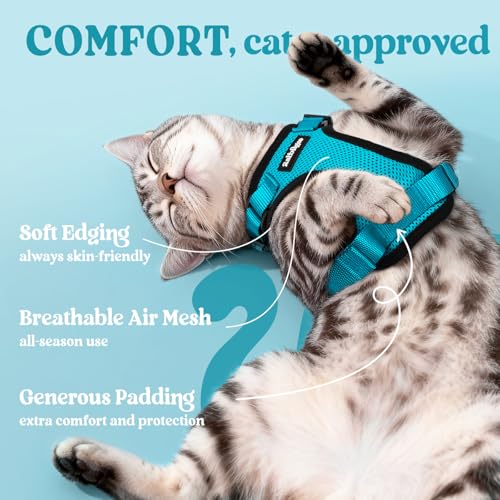 Cat Harness and Leash Set (Xxs / Teal)