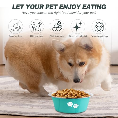Stainless Steel Dog Bowls (Green / 6.6 Cups/53 OZ)