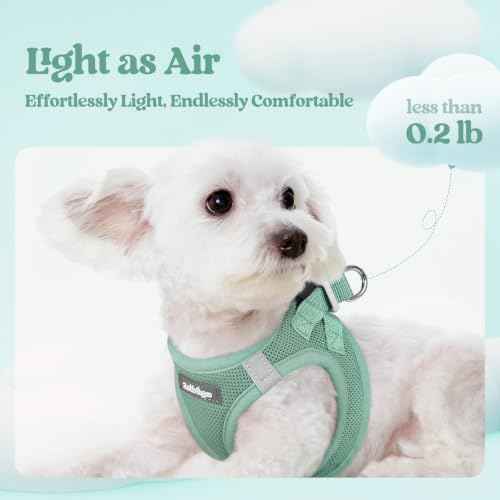 Dog Harness Small Sized and Leash Set (Moss Green / S (chest: 15.1 - 16.5"))