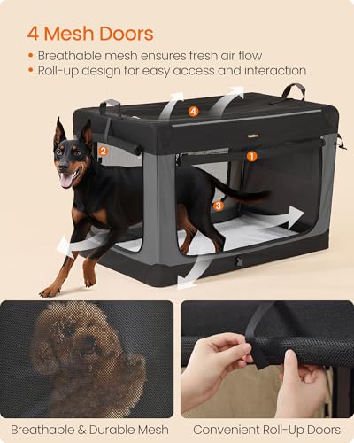 Collapsible Dog Crate (XXXL (48"L x 29"W x 31"H))