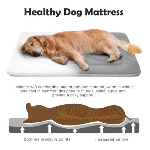 Large Dog Bed Soft Dog Crate Pad Mat 42 in Non (42.0"L x 28.0"W x 1.2"Th / Clay Gray)