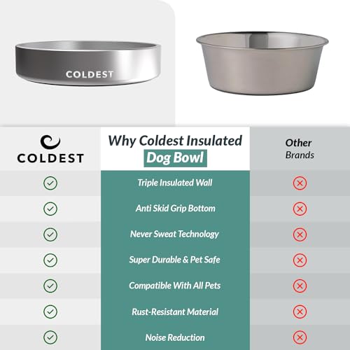 Coldest Dog Bowl (21 oz / Polished Stainless Steel)