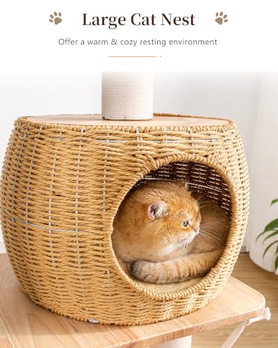 Wood Cat Tree for Large Cat (Nature DC888)