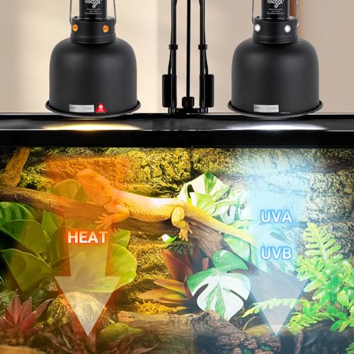 Reptile Light Fixture 2 Pack (5.5 inch-2pack)