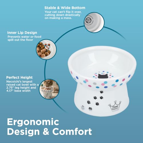 Necoichi Porcelain (Colorful Dots / Regular)