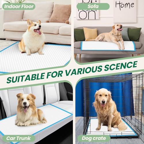 200 Count Large Dog & Cat Puppy Pee Pads (30" x 28" (200 Count))