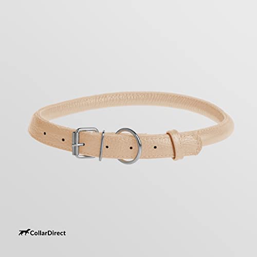 Tangle Free Rolled Leather Dog Collar