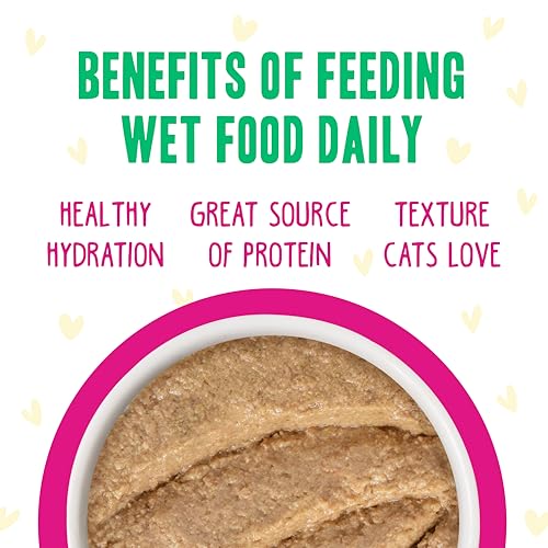 B.F.F. Play Best Feline Friend Paté Lovers (2.8 Ounce (Pack of 12))