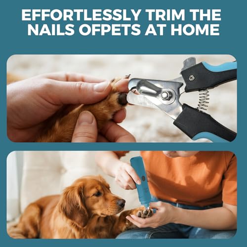 Dog Nail Grinder with LED Light (Blue Set)