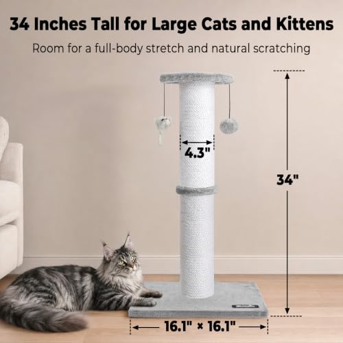 34"Tall Cat Scratching Post for Large Cats (Light Gray)