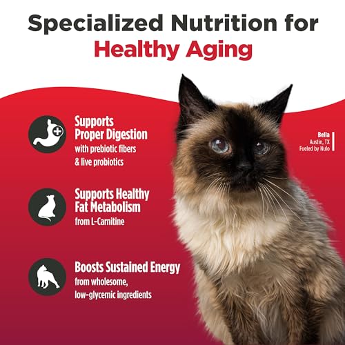 FreeStyle Senior Dry Cat Food (4 Pound (Pack of 1))