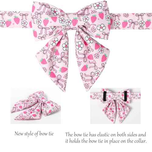 Strawberry Floral Dog Collar with Sailor Bow (Strawberry Bow(Sailor Bow) / Medium (Pack of 1))
