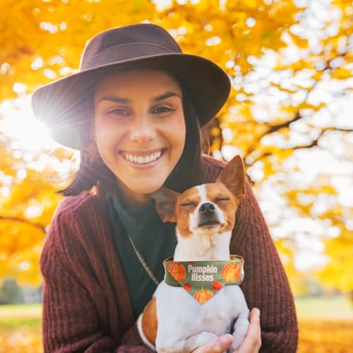 50 Pcs Fall Dog Bandanas Bulk Pet Scarfs Triangle Bibs Adjustable Washable Puppy Kerchief Seasonal Pet Costume Accessories Grooming Supplies for Small Medium Large Dogs Cats (Thanksgiving)