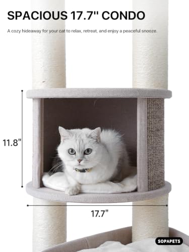 Cat Tree for Large Cats (Beige-01 / 65'')