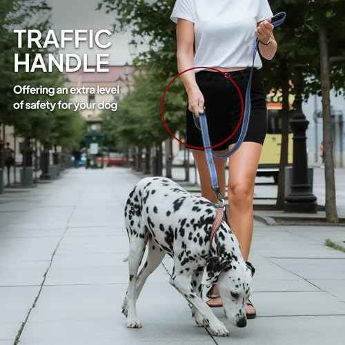4FT 1IN Heavy Duty Dog Leash for Large Dogs with 2 Padded Handles (Ultramarine / 1 in x 4 ft)
